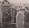 Grave of Tema son of Avraham. Died 10th Av 5660(?)